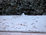 Playing in the snow